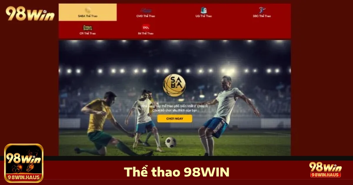 98Win 28 Đa dạng các kèo cược thể thao tại 98Win