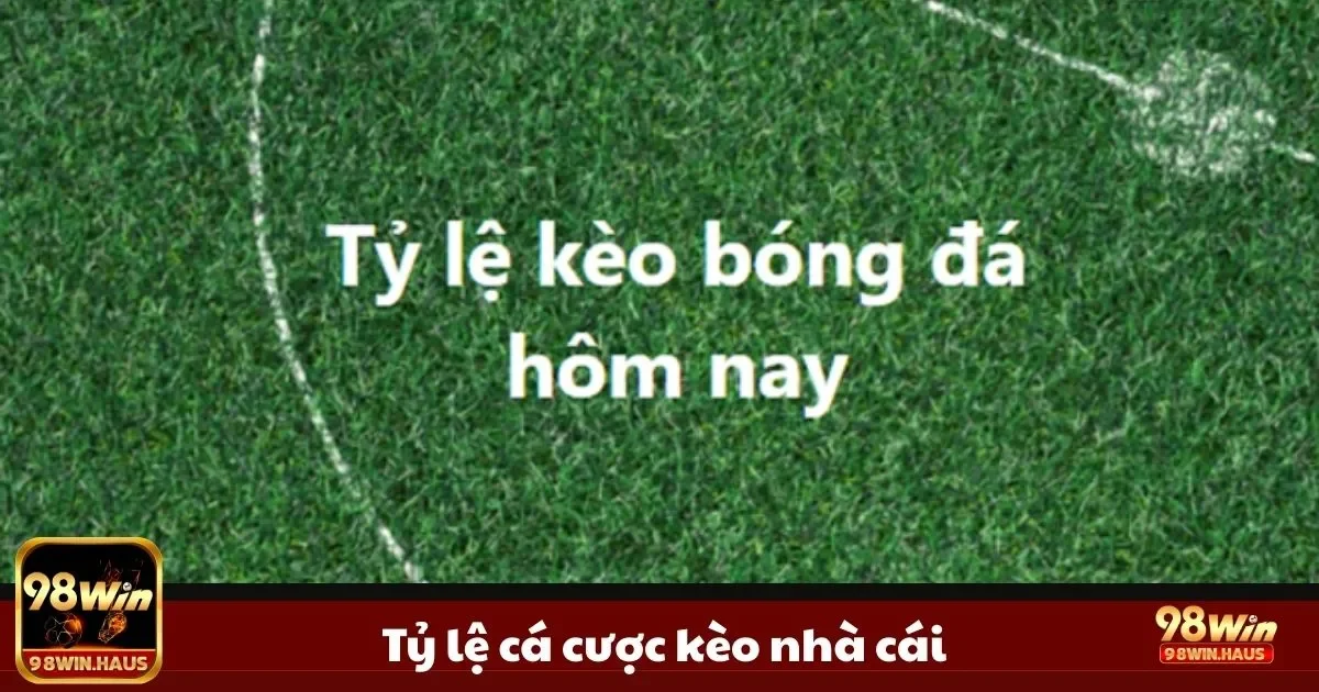 Cách đọc odds châu Á – châu Âu – Malaysia